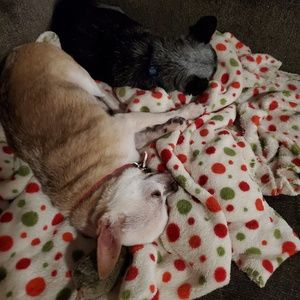 Meet your Posher, Sheila